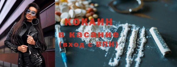 сатива Ладушкин