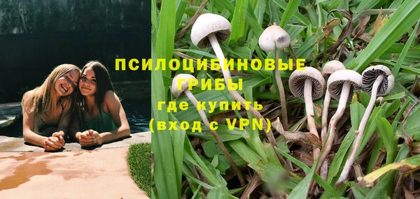 мдпв Лагань