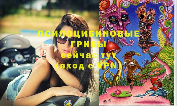 амф Лабытнанги