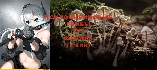 герыч Кулебаки