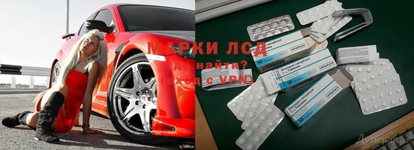 сатива Ладушкин